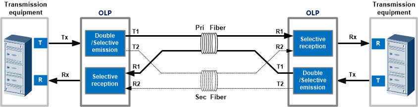 CWDM DWDM
